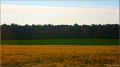 nevers120417_006 Dans le train